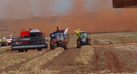 Sindicato teme que, com aprovação do PL dos agrotóxicos, a Anvisa perca a participação na análise de substâncias nocivas. Foto: Agência Brasil