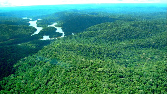 meio ambiente _Divulgaçao / Ideflor-bio (Pará)