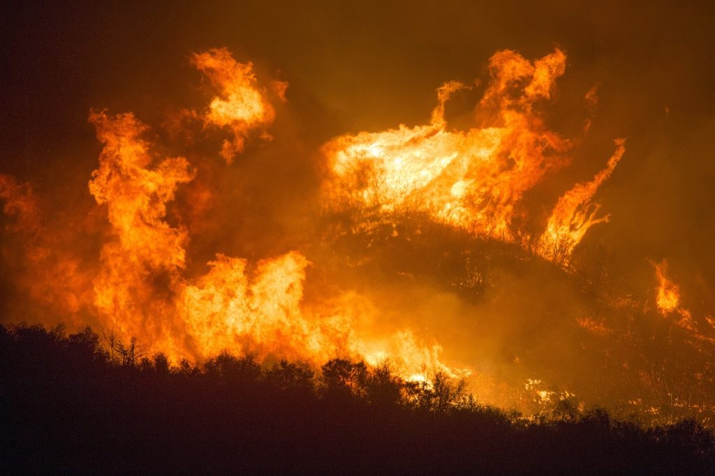 Especialista aponta transição de governos e corte orçamentário no Icmbio como causas do aumento de queimadas na Amazônia. [fotografo] Pixabay [/fotografo]