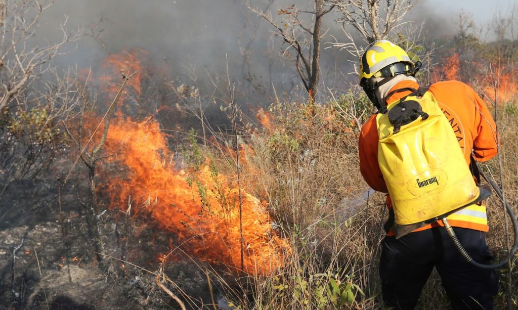 Brasília - queimadas de grandes proporções atinge o Parque Nacional de Brasília (Fabio Rodrigues Pozzebom/Agência Brasil)