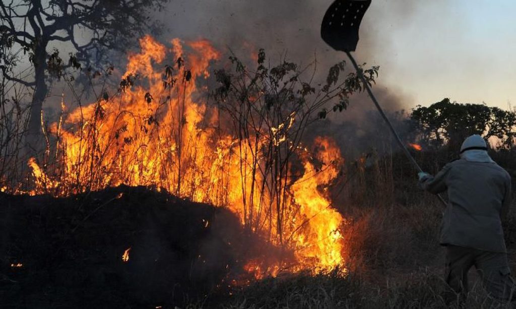 Bancada amazonense teme efeitos da redução nos recursos para enfrentamento a incêndios florestais no orçamento de 2024. Foto: Valter Campanato/Agência Brasil