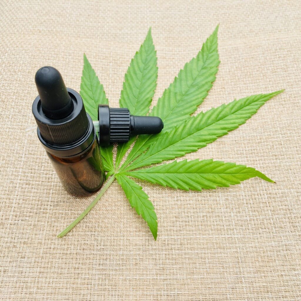 Mercado legal da Cannabis movimenta cerca de 60 bilhões de dólares por ano [fotografo]Julia Teichmann/ Pixabay[/fotografo]