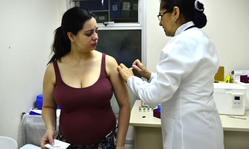 Câmara aprova texto que inclui gestante em grupo prioritário de vacinação [fotografo] Rovena Rosa/Agência Brasil [/fotografo]