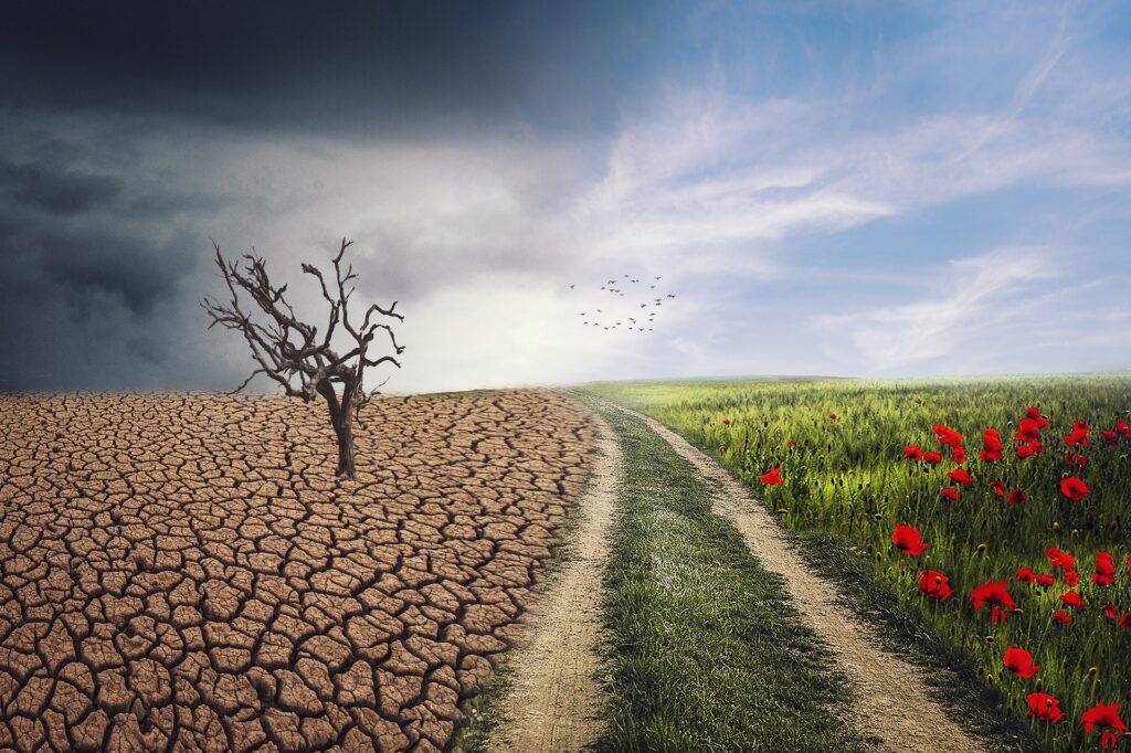 Diante de irreversibilidade da crise climática, líder da bancada ambientalista considera que Congresso deverá cooperar em projetos ambientais. Foto: Pixabay
