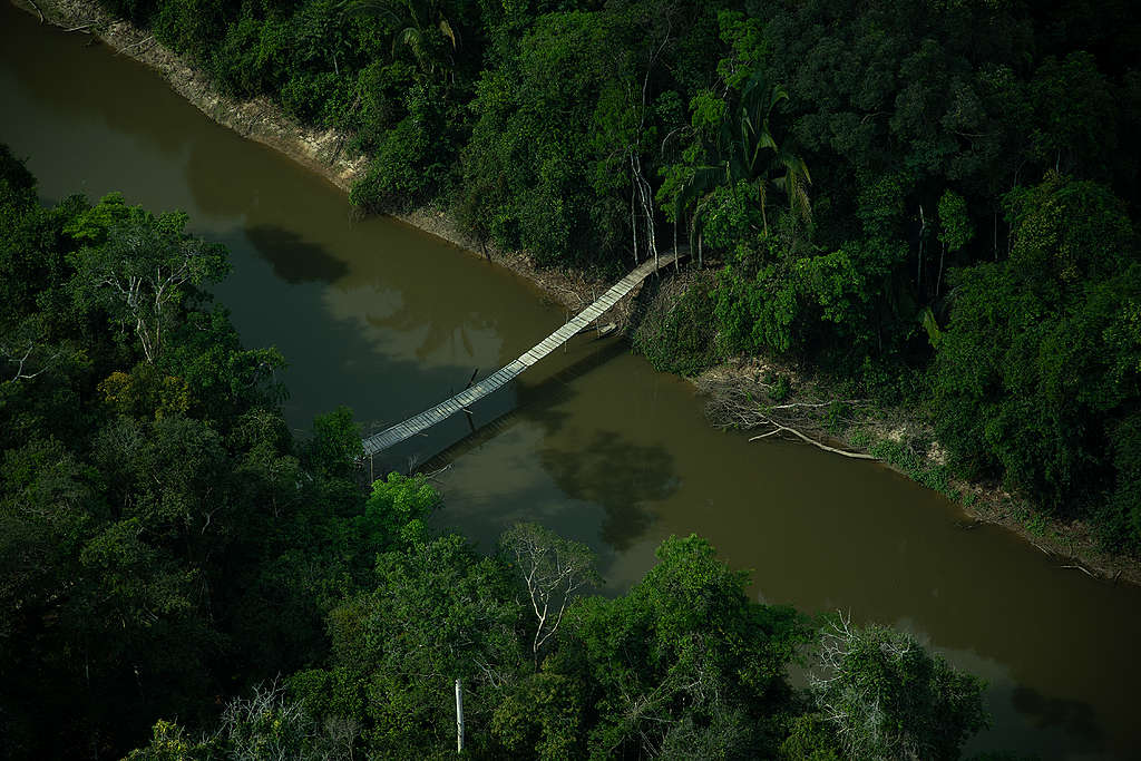 A região da Terra Indígena do rio Formoso registrou 65% do desmatamento no último ano