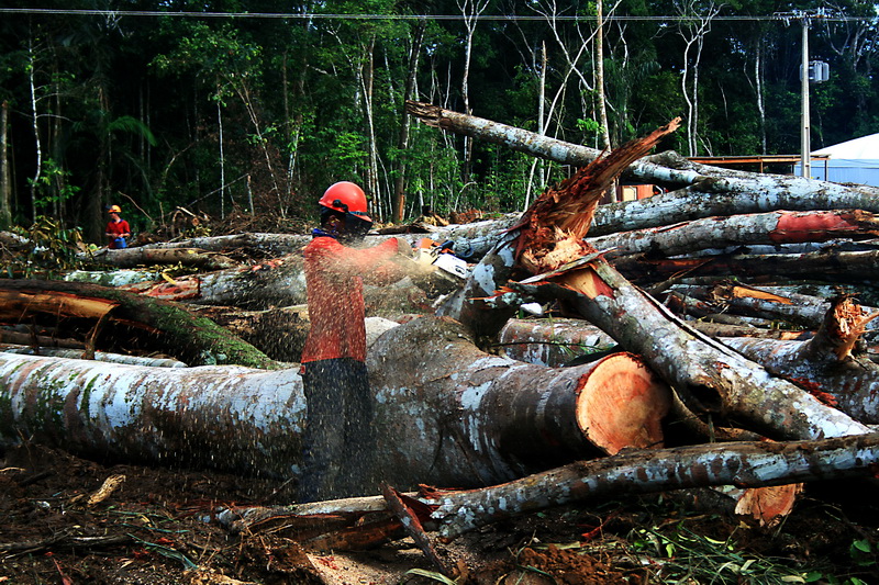 Meio Ambiente / Corte de árvores na área da UHE Santo Antônio em 2009. Foto: Eduardo Santos via Flickr