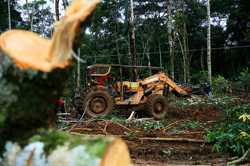 Desmatamento na Amazonia. Corte para a UHE Santo Antônio. Foto: Eduardo Santos via Flickr