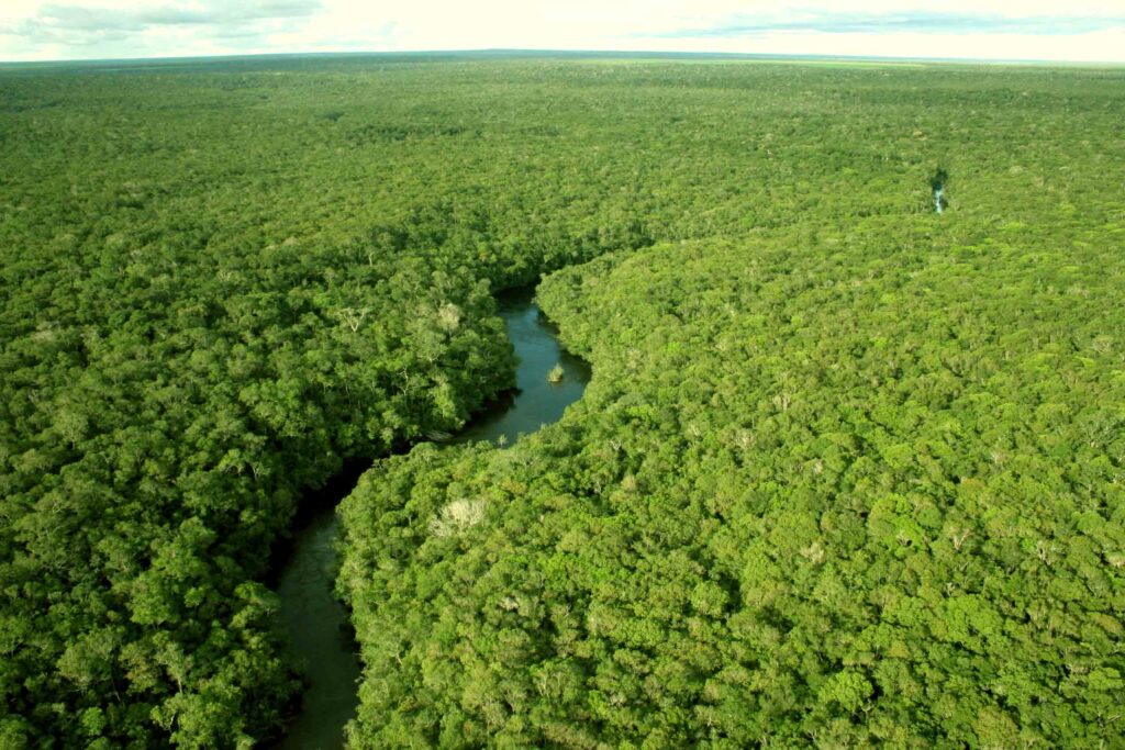 Virada Parlamentar Sustentável promove audiência pública sobre desmatamento da Amazônia. Foto: EBC