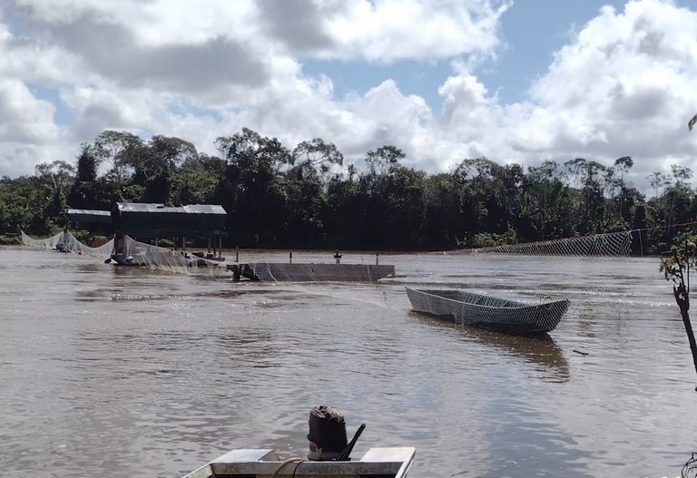 Segundo o Ibama, garimpeiros atiraram contra agentes do órgão que haviam abordado uma das embarcações no rio Uraricoera. Foto: Divulgação/Ibama