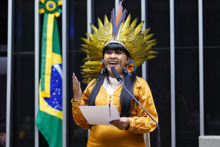 Deputada Célia Xakriabá foi autora da consulta ao TSE acerca de incentivos a candidaturas indígenas. Foto: Pablo Valadares / Ag. Câmara