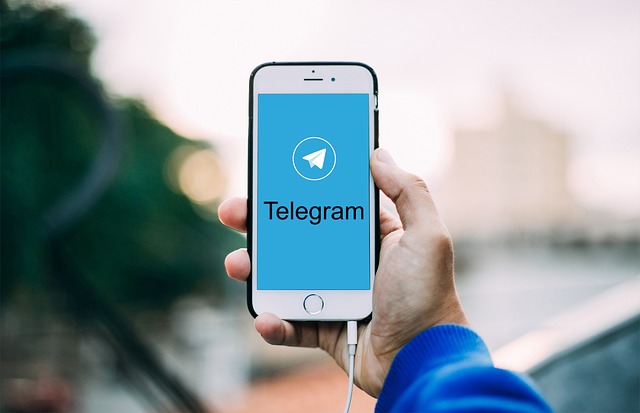 A decisão para volta do Telegram é do desembargador federal Flávio Lucas, da 2ª Turma Especializada do TRF-2. Foto: Pixabay