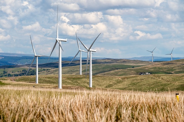 Setor energético tende a equacionar a descarbonização e efetivar a transição energética mediante aumento da oferta de energia renovável. Foto: Pixabay