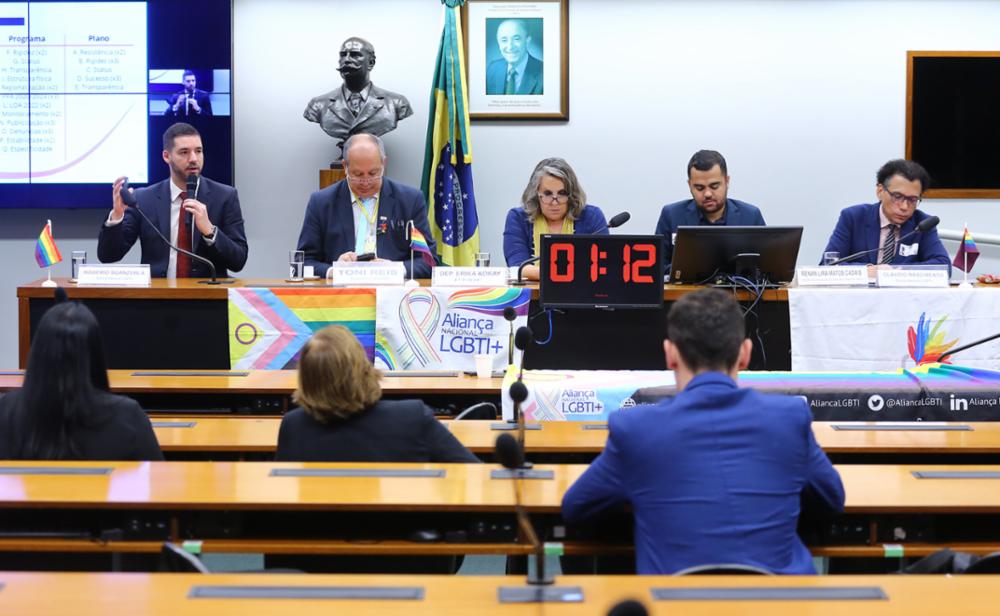 Audiência pública sobre gualidade de direitos e proteção jurídica da população LGBT+. Foto: Vinicius Loures / Câmara dos Deputados