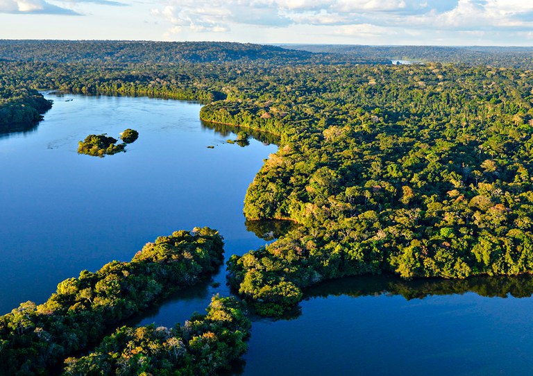 Desmatamento na Amazônia chega ao menor patamar desde 2019. Governo atribui resultados à retomada de políticas de controle ambiental. Foto: Adriano Gambarini
