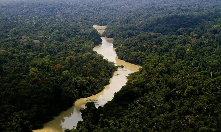 De acordo com o relator, divergência com governadores da Amazônia sobre sistema de negociação no mercado de carbono compromete acordo. Foto: Leonardo Milano/ICMBio
