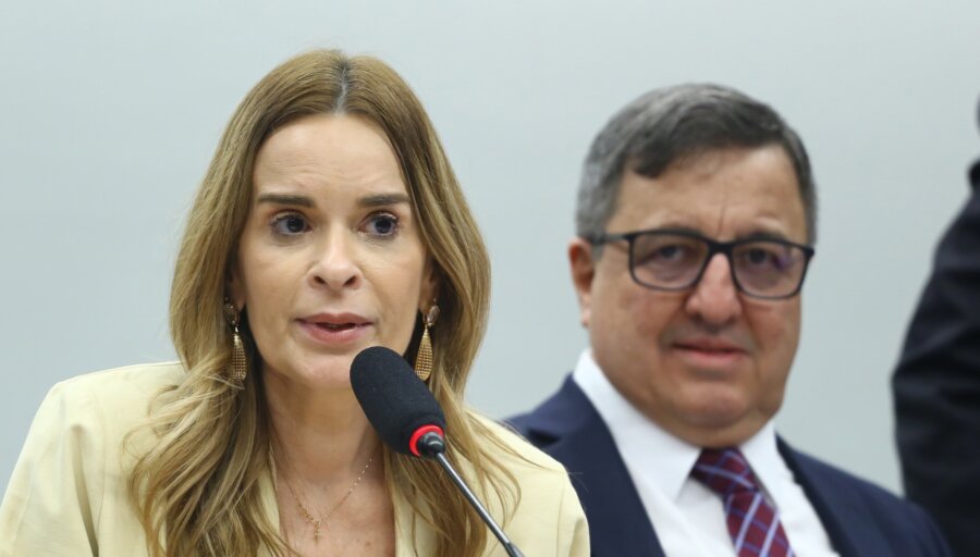 Daniella Ribeiro e Danilo Forte, que deve apresentar seu relatório em meia a incertezas sobre a meta fiscal