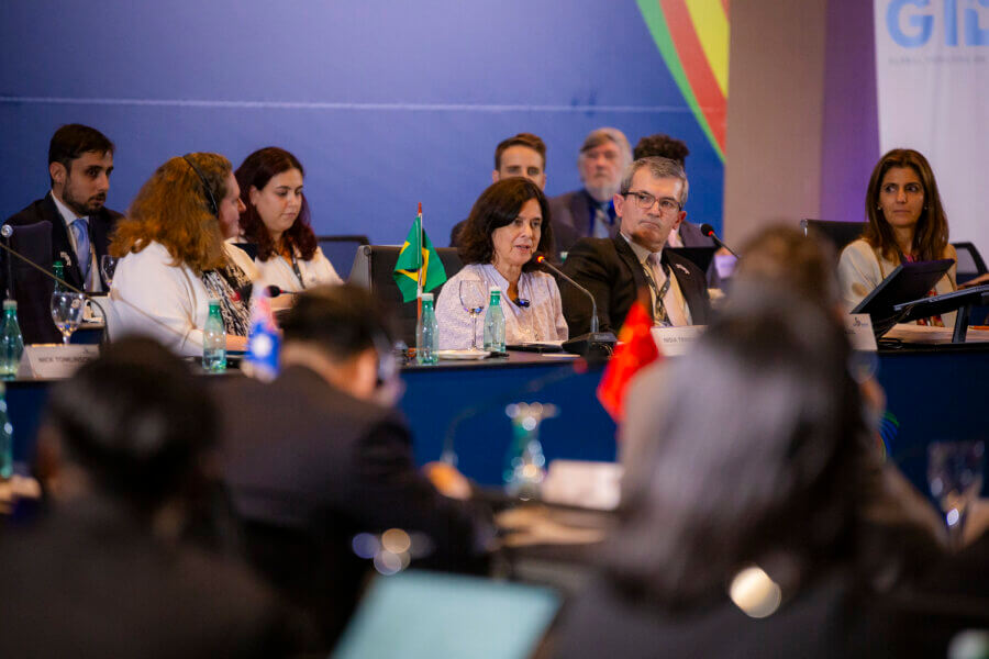 A ministra da Saúde, Nísia Trindade, em reunião do GT de saúde do G20. Foto: Rafael Nascimento/Ministério da Saúde
