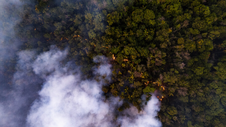 Fumaça de incêndio em parque nacional forçou duas escolas públicas e a Universidade de Brasília a suspenderem atividades presenciais. Foto: Jacqueline Lisboa/WWF-Brasil