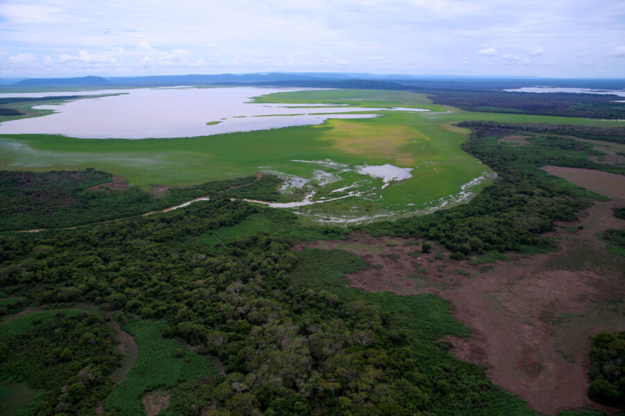 Foto: Assembleia Legislativa do Estado de Mato Grosso